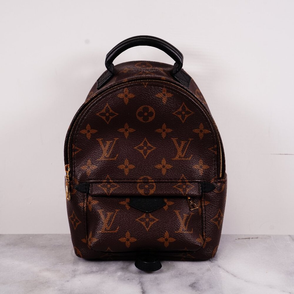 Louis Vuitton Mini Palm Springs Backpack Monogram